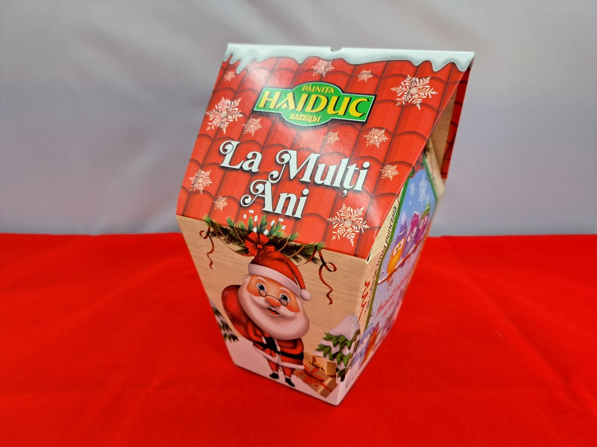 Christmas box in the shape of a house