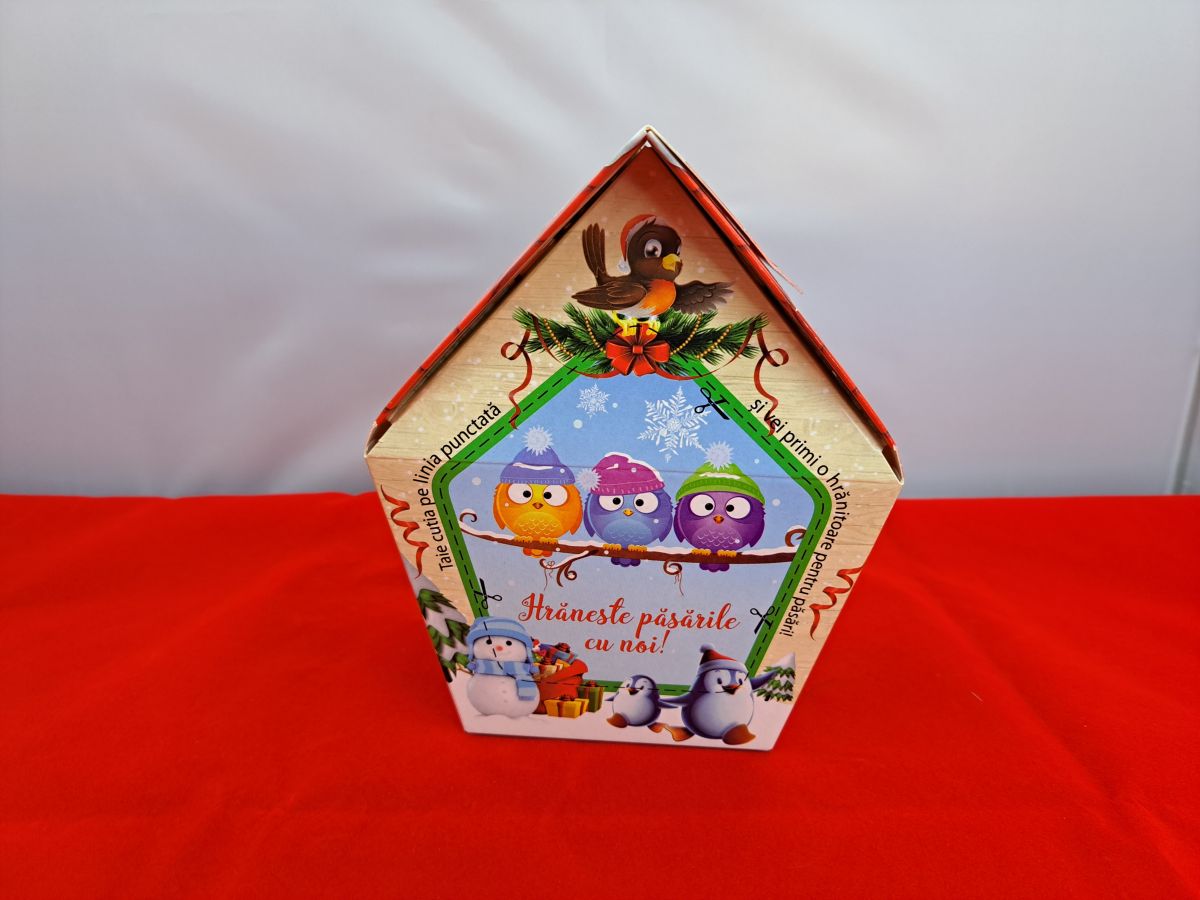 Christmas box in the shape of a house