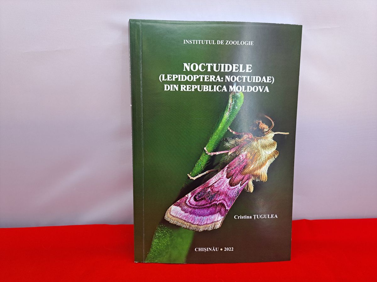 Обложка книги бабочки Молдовы
