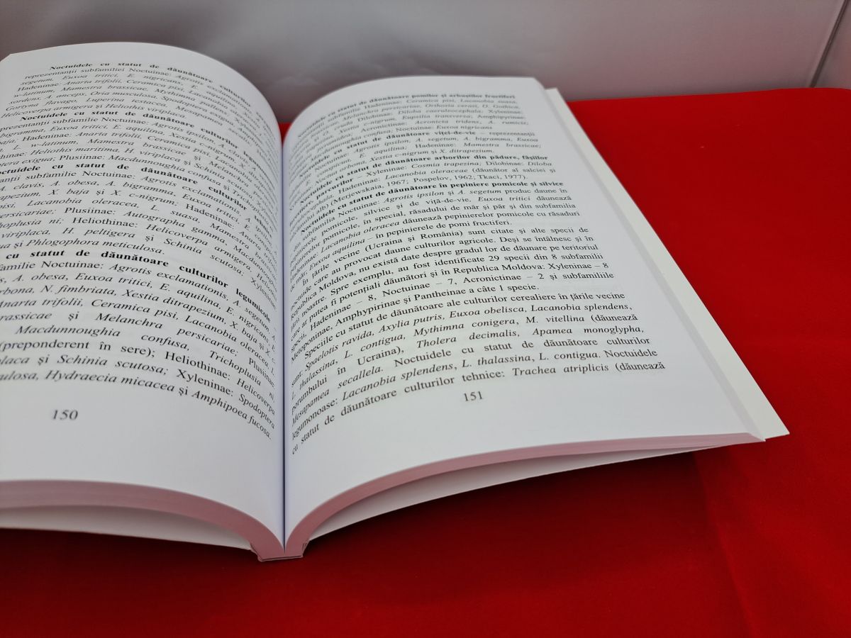 Страницы книги