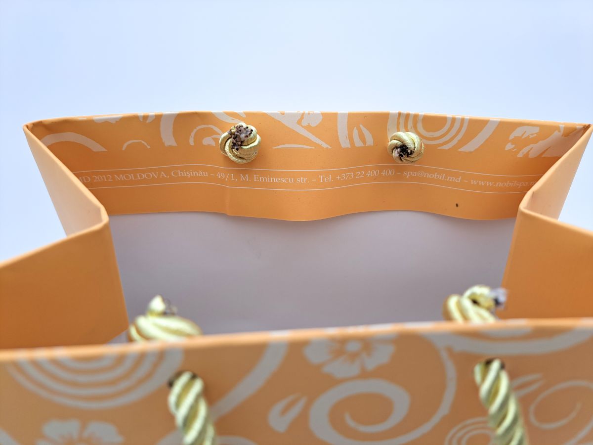 Carton bag