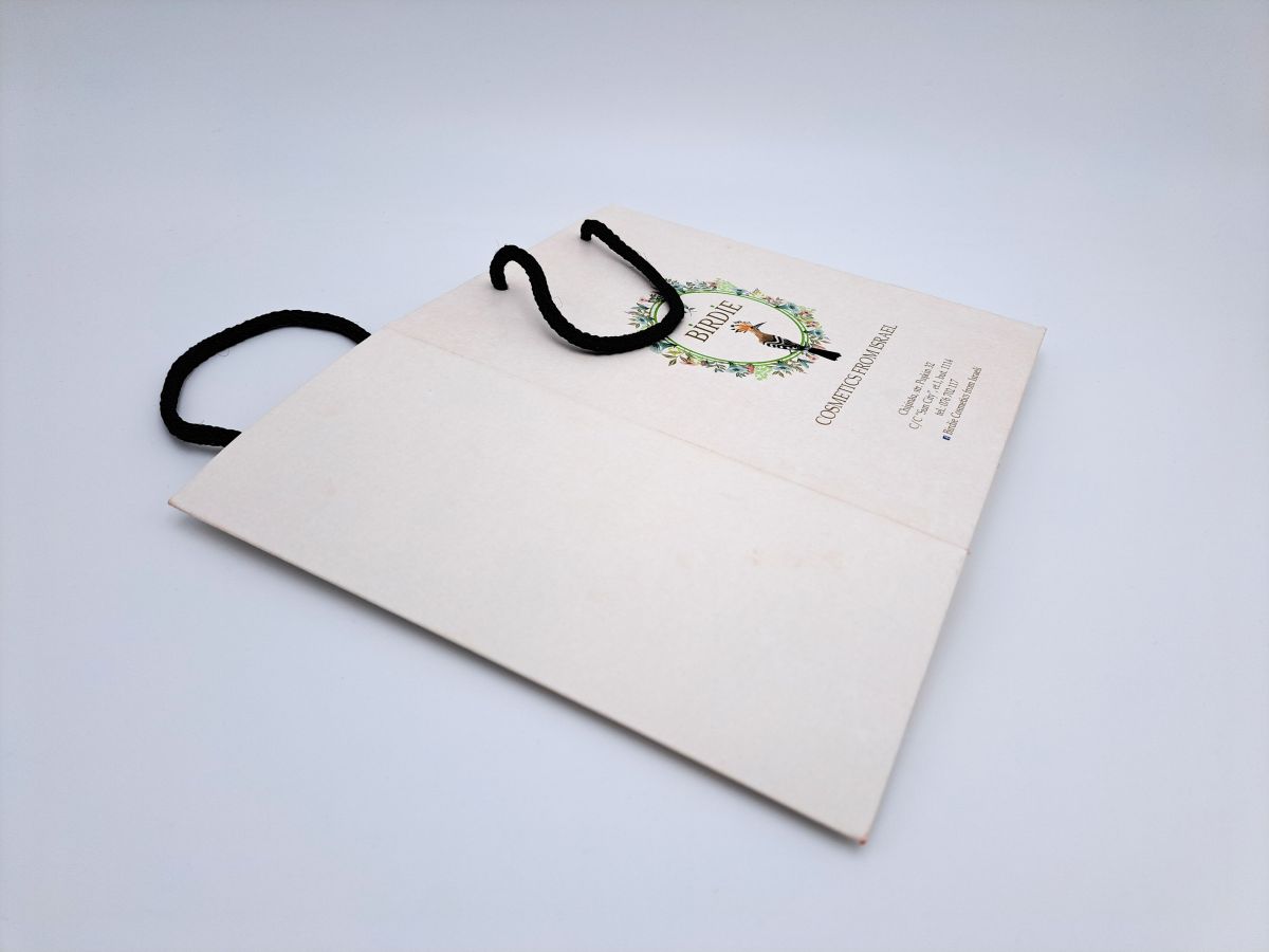 Carton bag