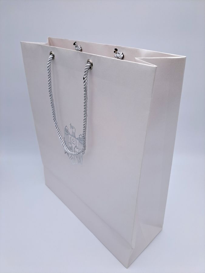 Carton bag
