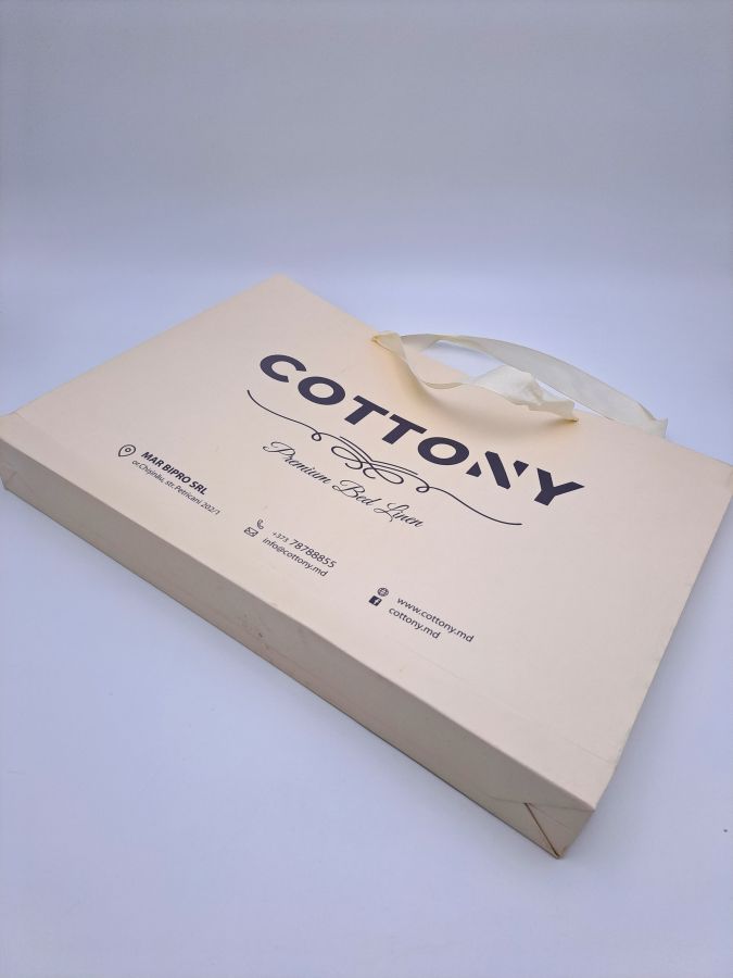 Carton bag