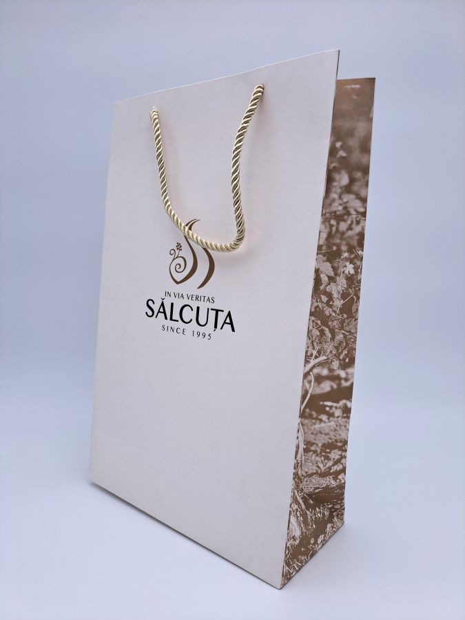 Carton bag