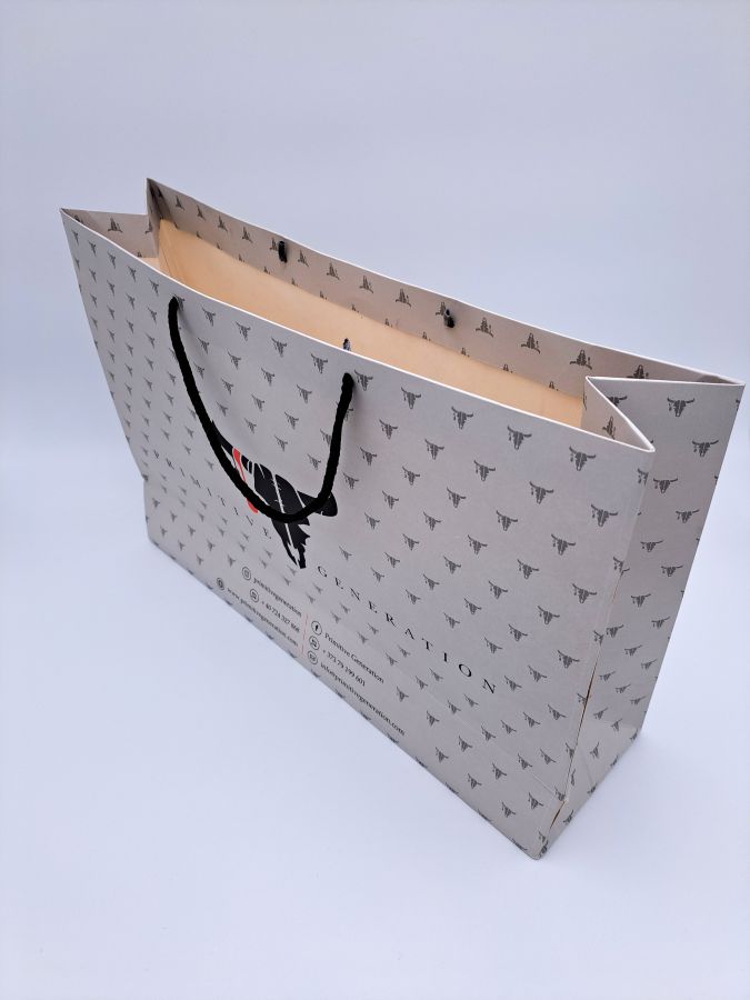 Carton bag