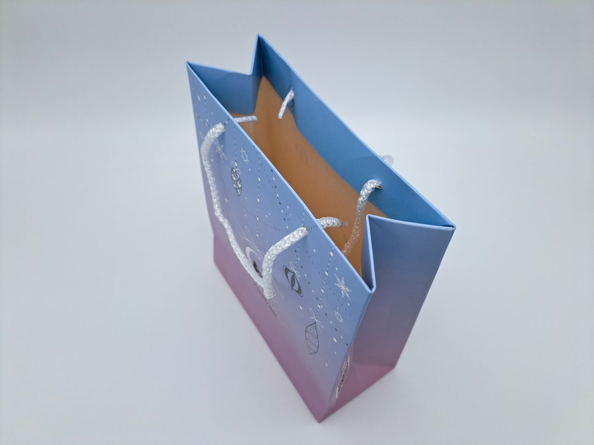 Carton bag