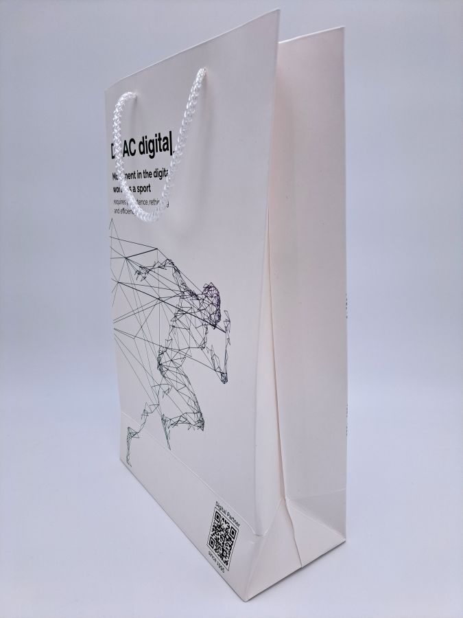 Carton bag