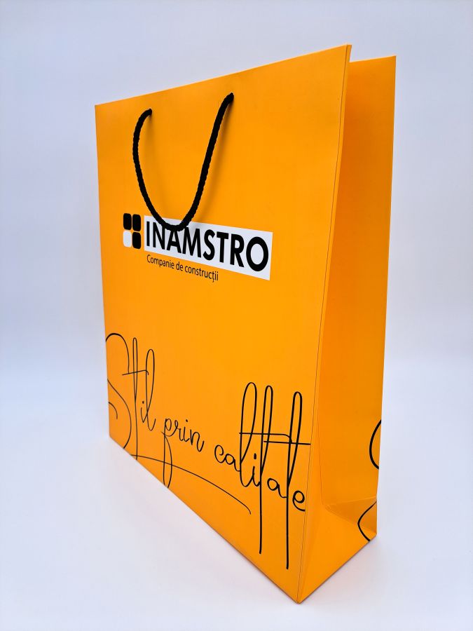 Carton bag