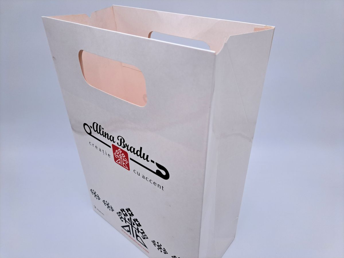 Carton bag