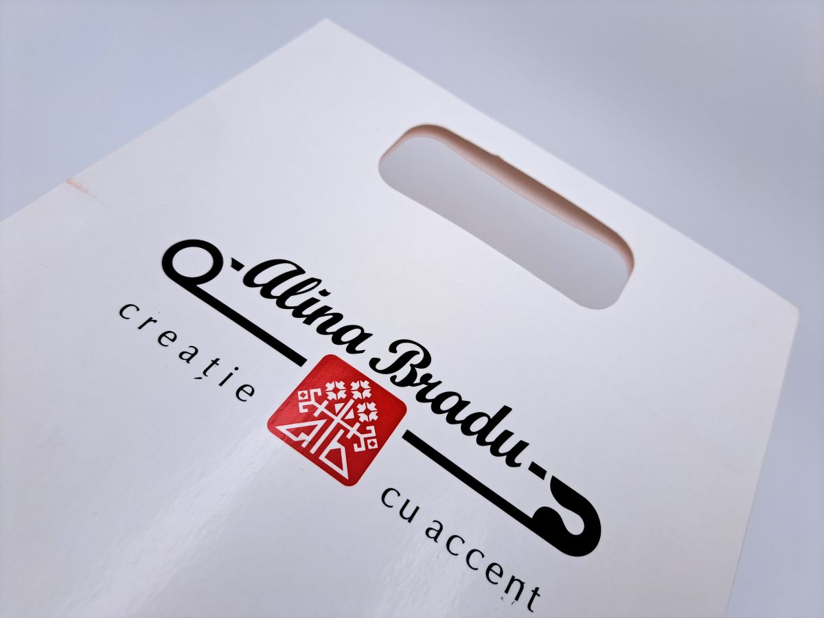 Carton bag