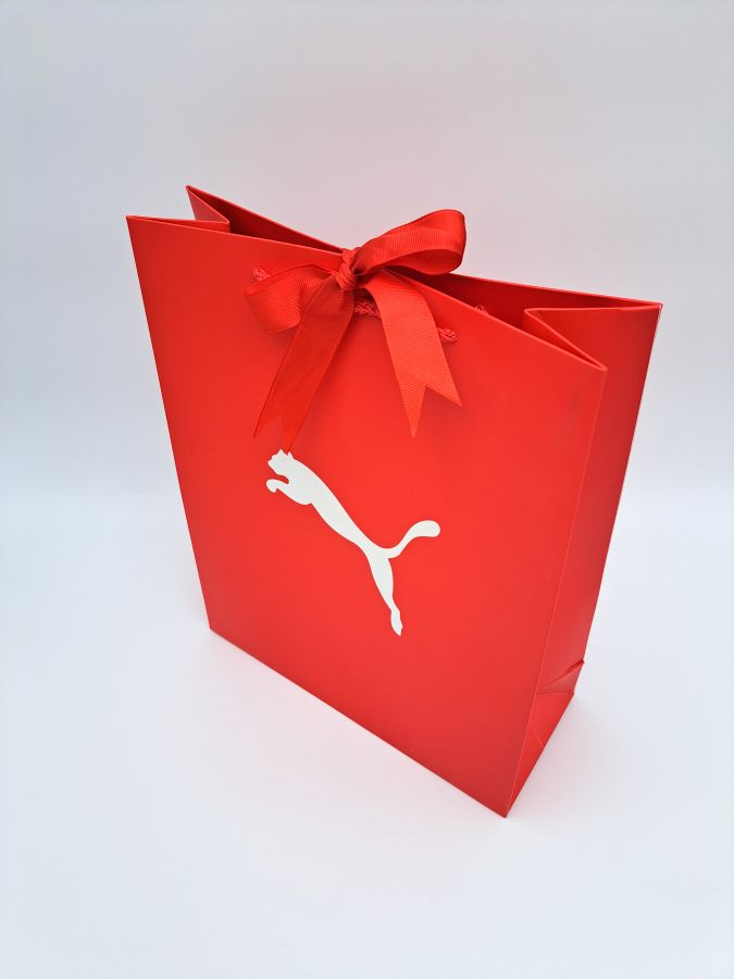 Carton bag