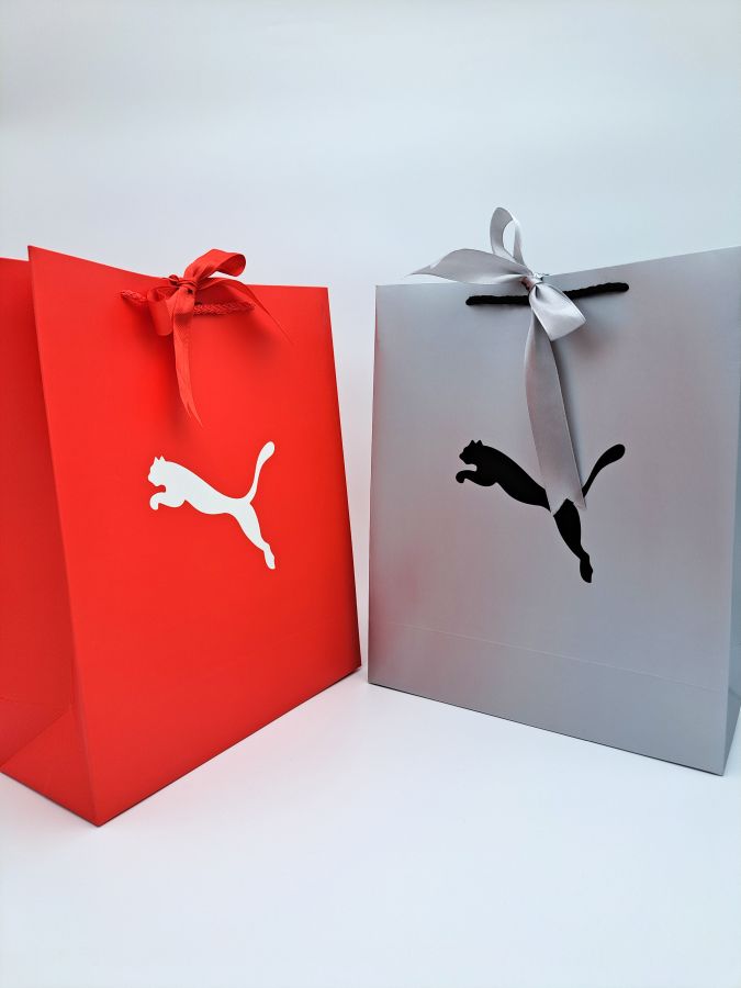 Carton bag