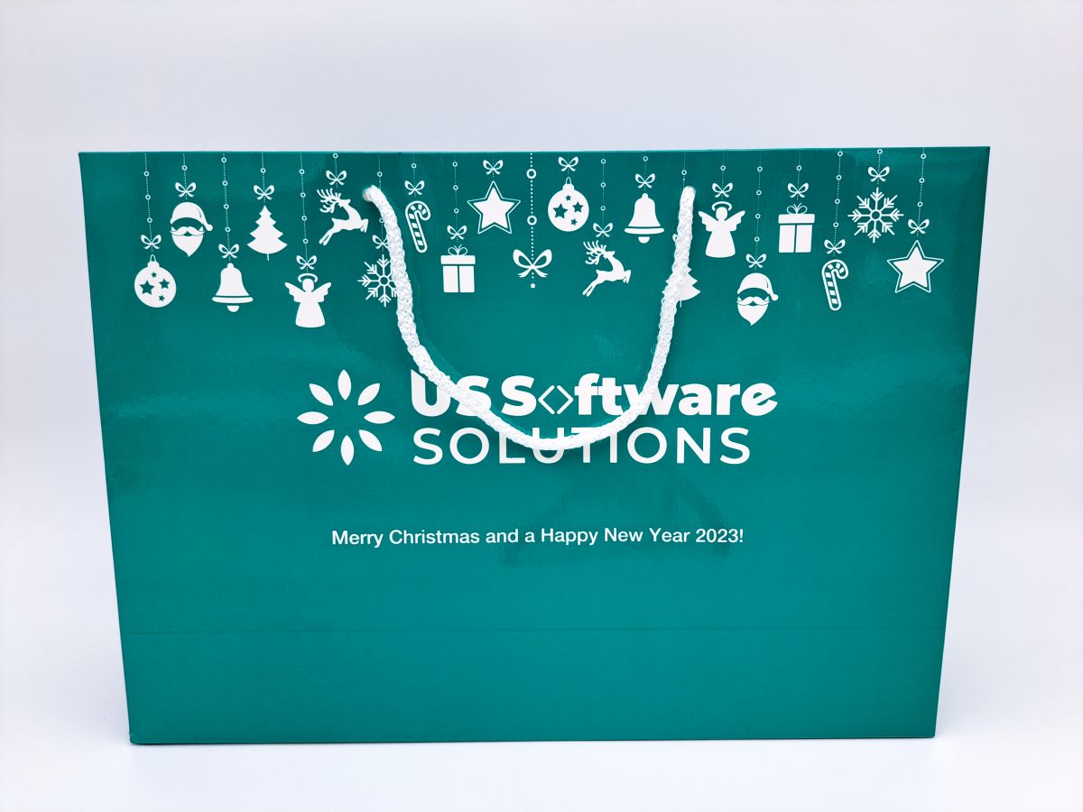 Carton bag