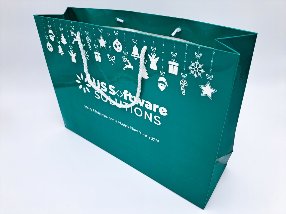 Carton bag