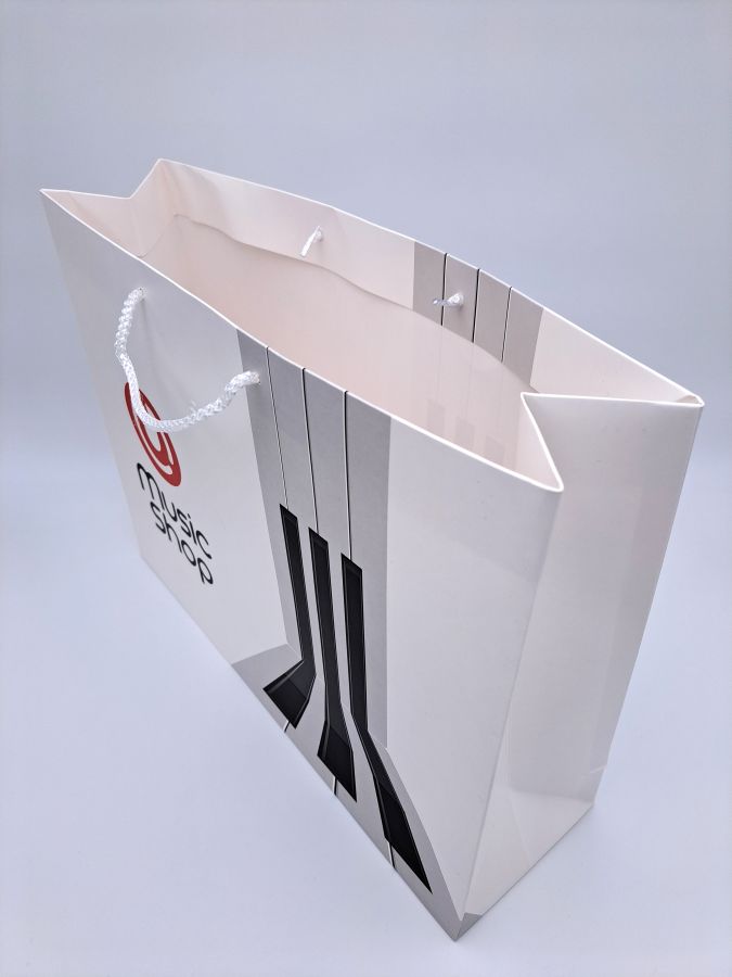 Carton bag