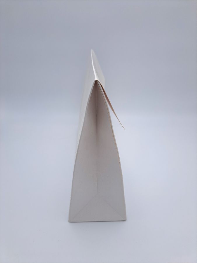 Carton bag